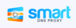 go to Smart DNS Proxy