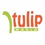 go to Tulip World